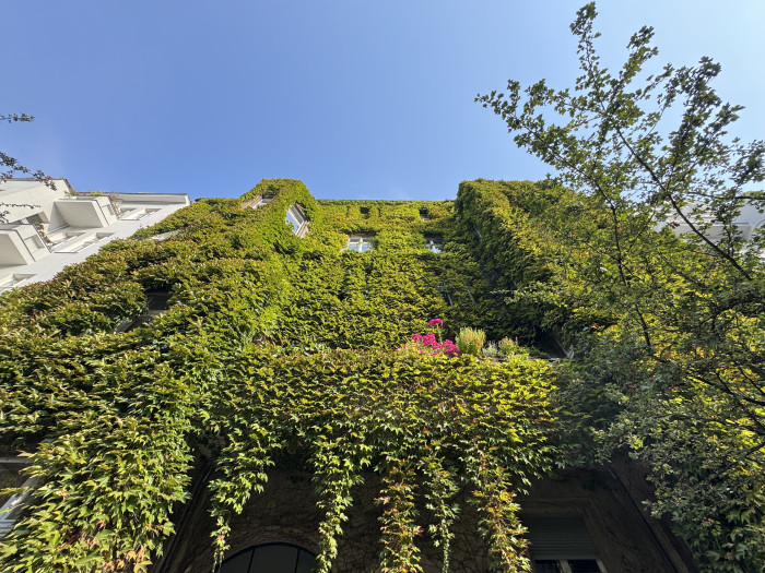 Bei Tageslicht ist der Unterschied zur 12-Megapixel-Kamera des iPhone 15 Pro jedoch nicht auszumachen. (Bild: Tobias Költzsch/Golem.de)